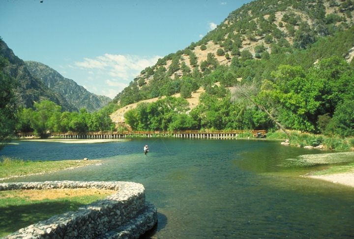 Fish Highways Are Reopening