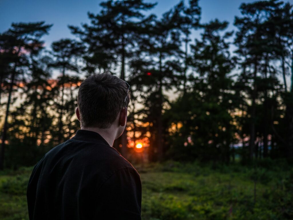 photography of man looking sunset in front of green leafed trees