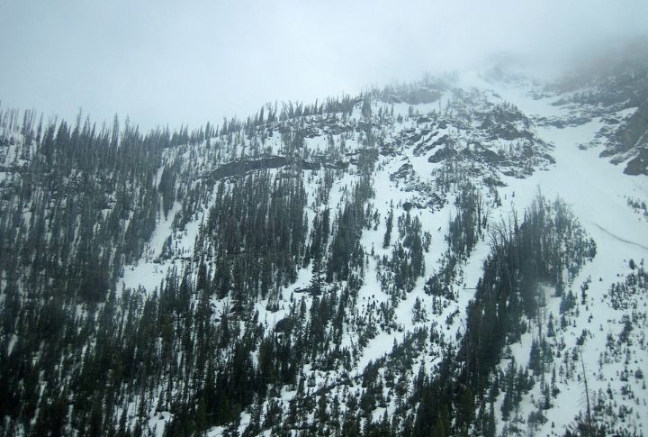 Strong Winds Shape The Environment And Experience