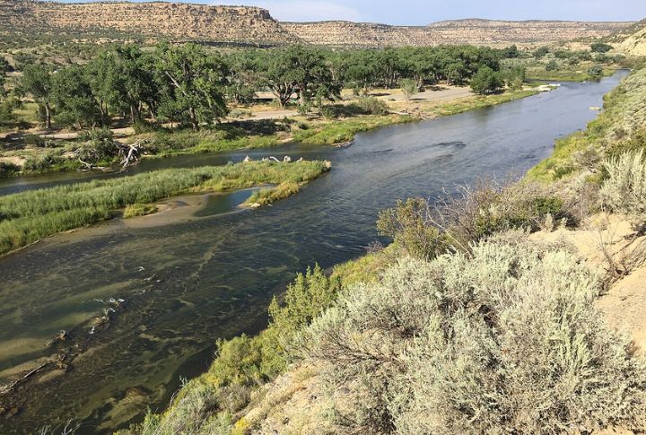 Navajo Lake State Park, New Mexico