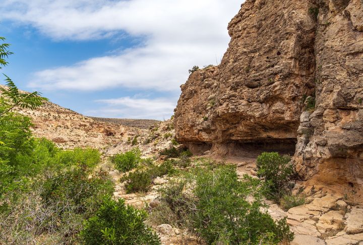 Carlsbad Caverns National Park