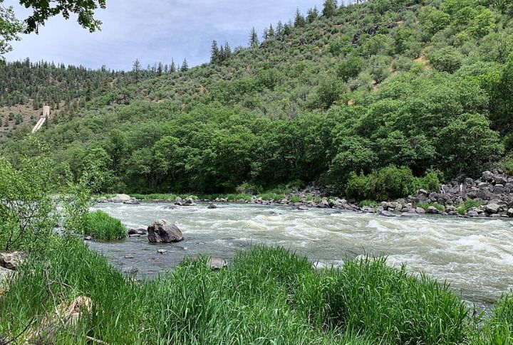 Indigenous Science Leads River Revivals