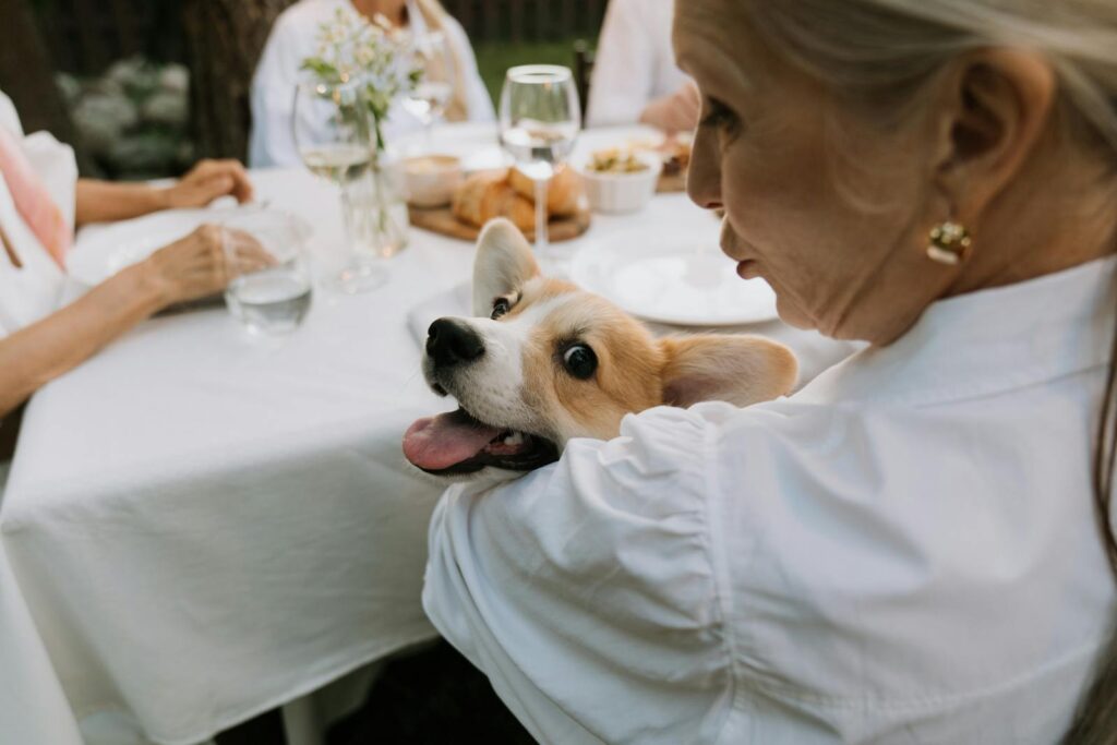 A senior woman lovingly holds her happy corgi during an outdoor dinner gathering.