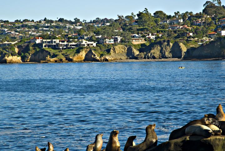 San Diego: Beach Life And Mild Climate