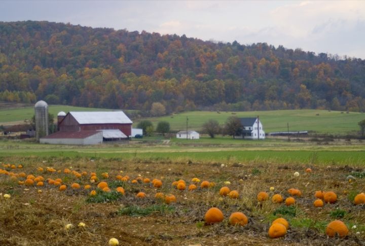 Limited Diversity In Rural Communities