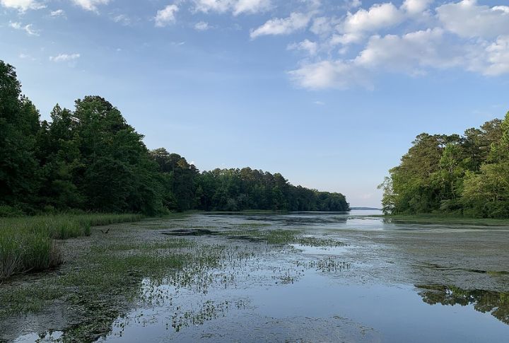 Lake Guntersville State Park, Alabama