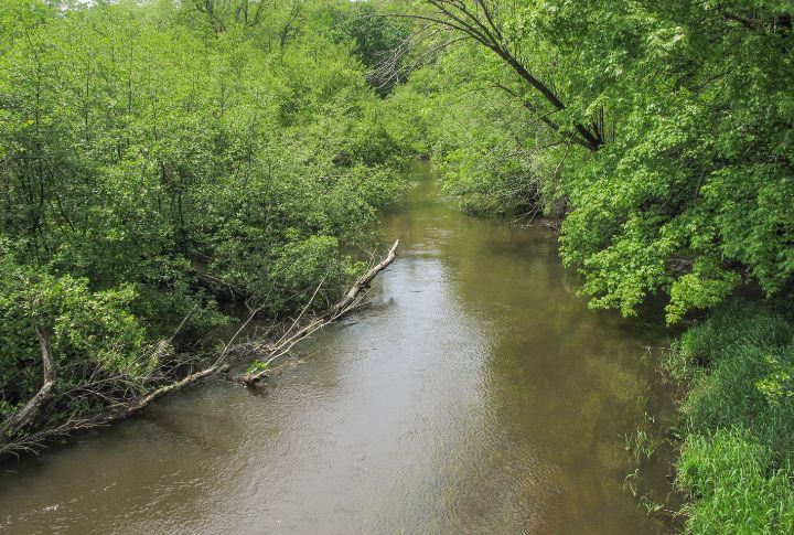 Pigeon River Country State Forest, Michigan