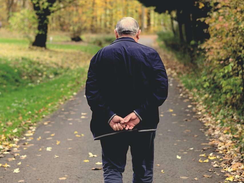 old man, path, walking, stroll, autumn, fall, old man, old man, old man, old man, old man, stroll