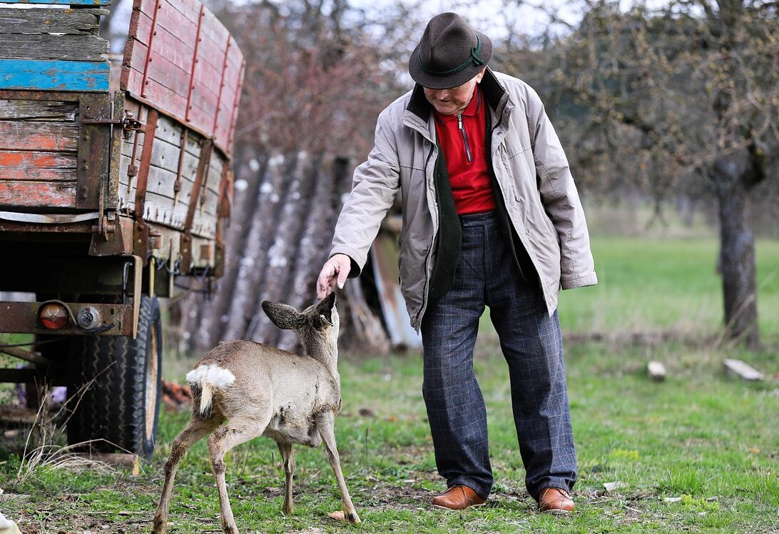 old man, love, old age, human, roe, deer, farm, pet, old man, old man, old man, old man, old man, human, human, human