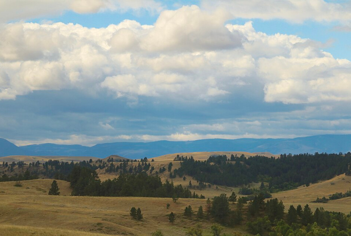 Crow Reservation (Montana)