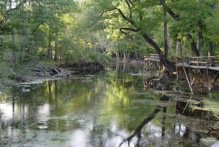 Santa Fe River, Florida