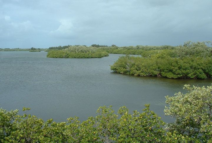 Sebastian Inlet State Park, Florida