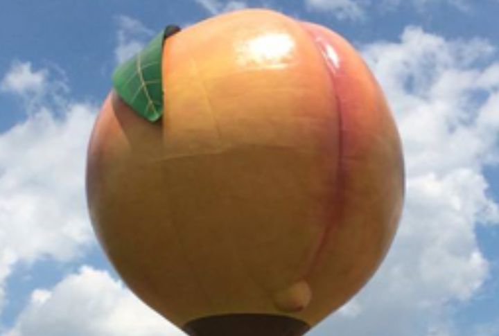 The Giant Peach Water Tower