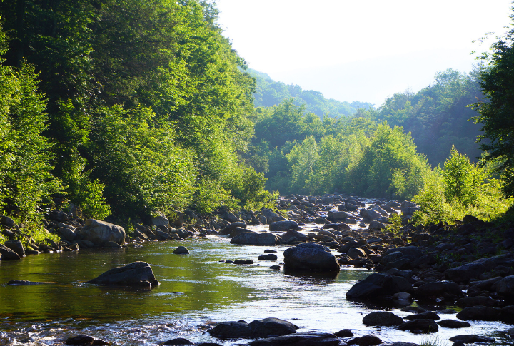 Monongahela National Forest, West Virginia