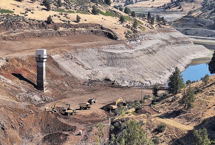 Cost-Benefit Analysis Favors Removal Over Repairs