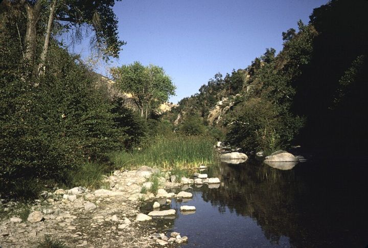 Climate Scientists Back River Restoration For Resilience