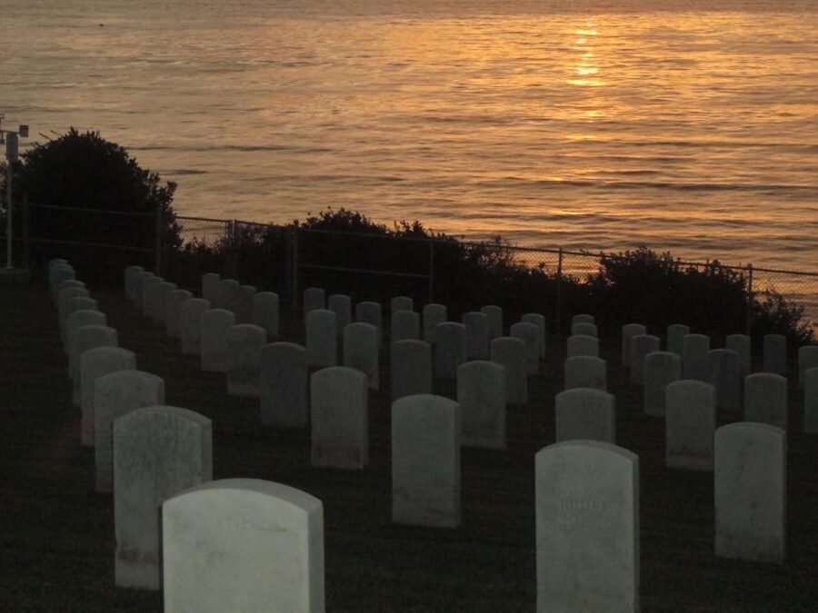 silhouette of trees near body of water during sunset