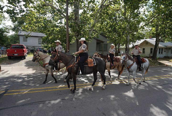 Training Future Police Horses At Mounted Units