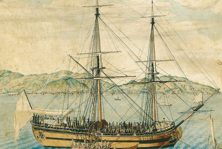 Building The Collection