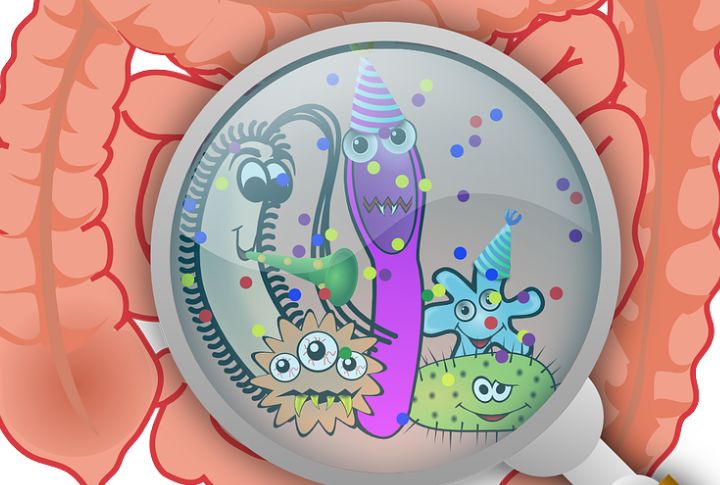 Effects On Gut Microbiome