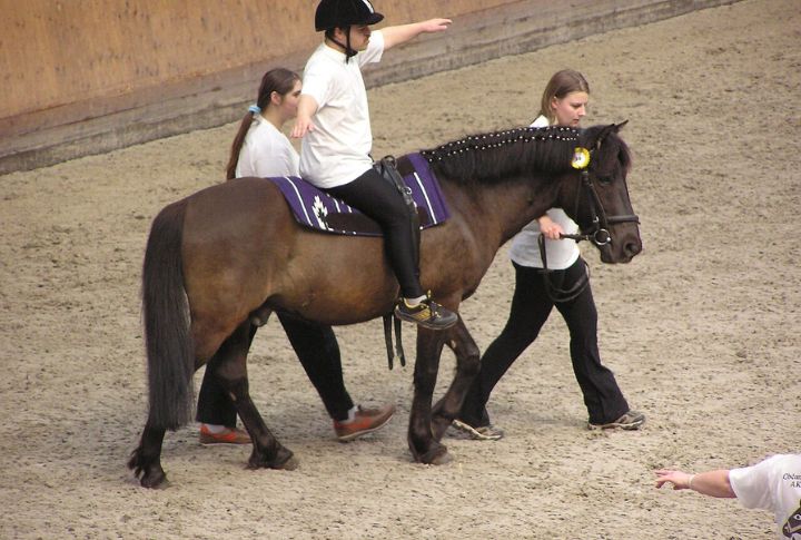 Providing Healing In Equine Therapy Centers