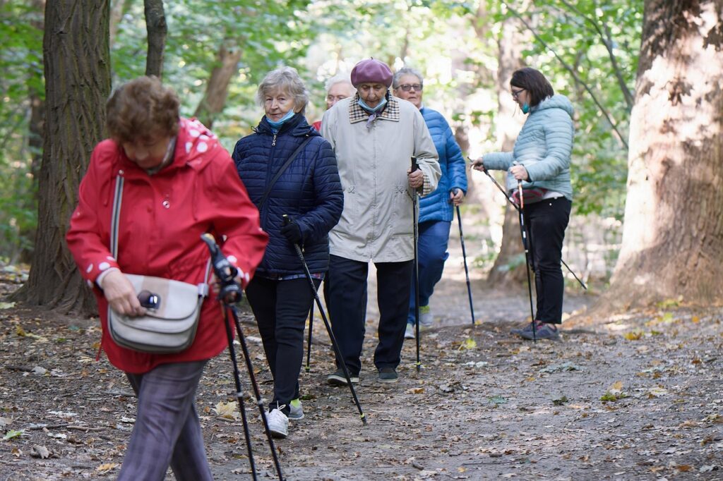 elderly, forest, trekking, women, senior, people, walking sticks, walking, adventure, recreation, path, outdoors, fall, autumn, woods, elderly, elderly, elderly, nature, elderly, elderly, senior, senior, senior, senior, senior