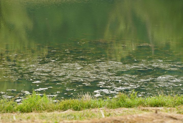 Public Health Hazards