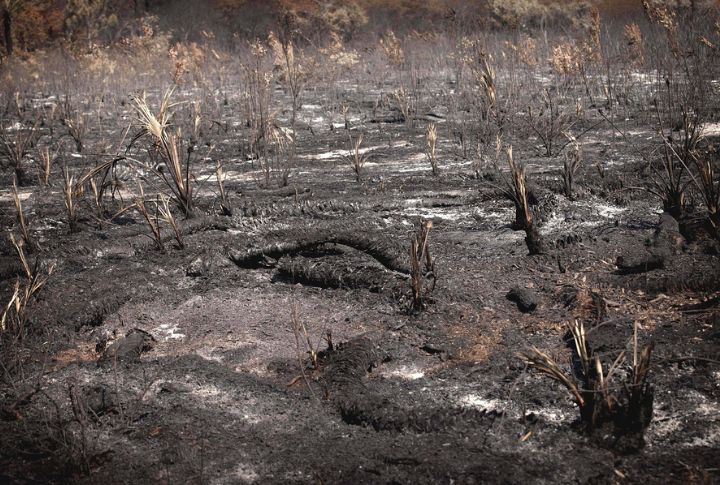 Wildfires Threaten Properties