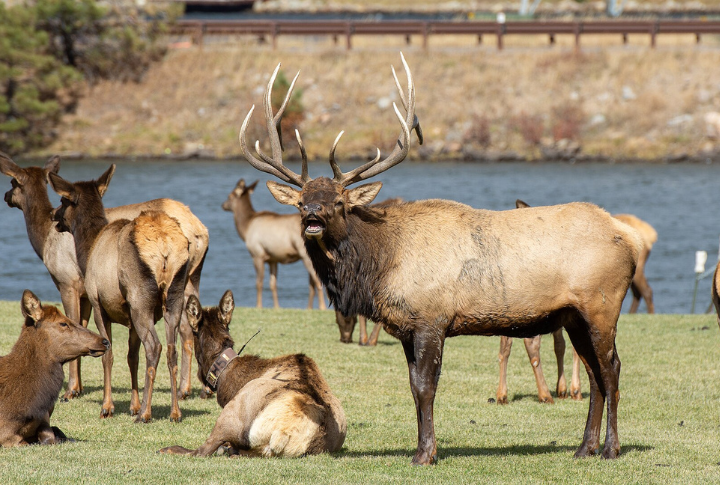 10 Wild Hunts That Make The Miles Worth It