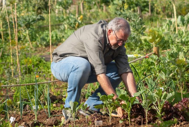 Interests Become More Solitary