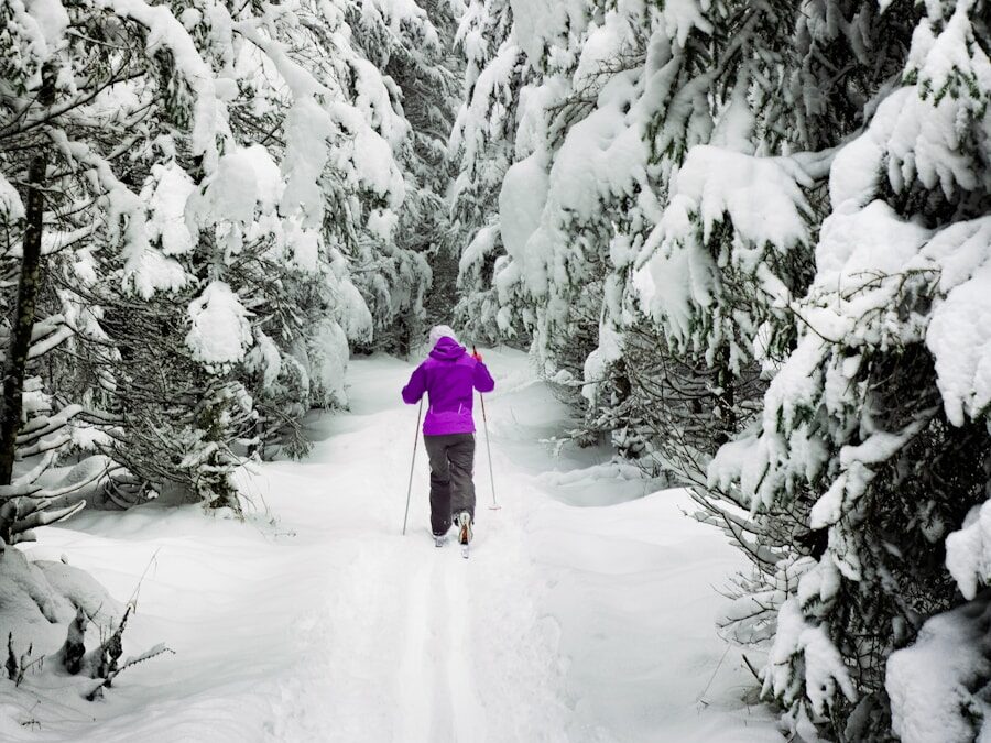person standing on snow covered land