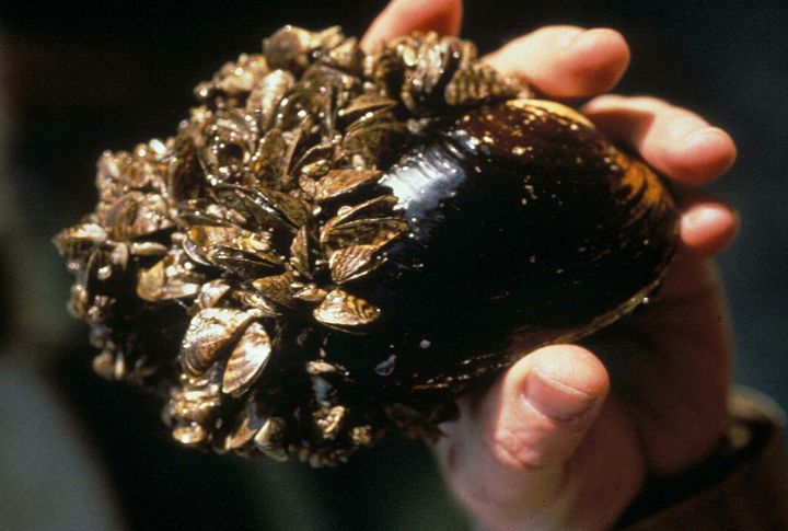 Preventing Unauthorized Watercraft Contamination