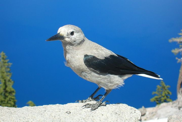 Limited Access Helps Protect Wildlife