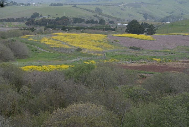 Hearst San Simeon State Park
