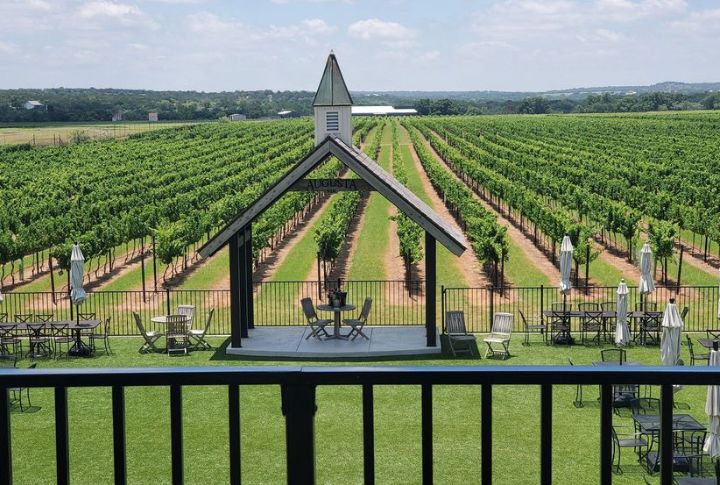 Right In The Middle Of Texas Wine Country