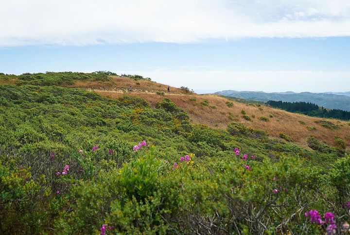 Mount Tamalpais State Park
