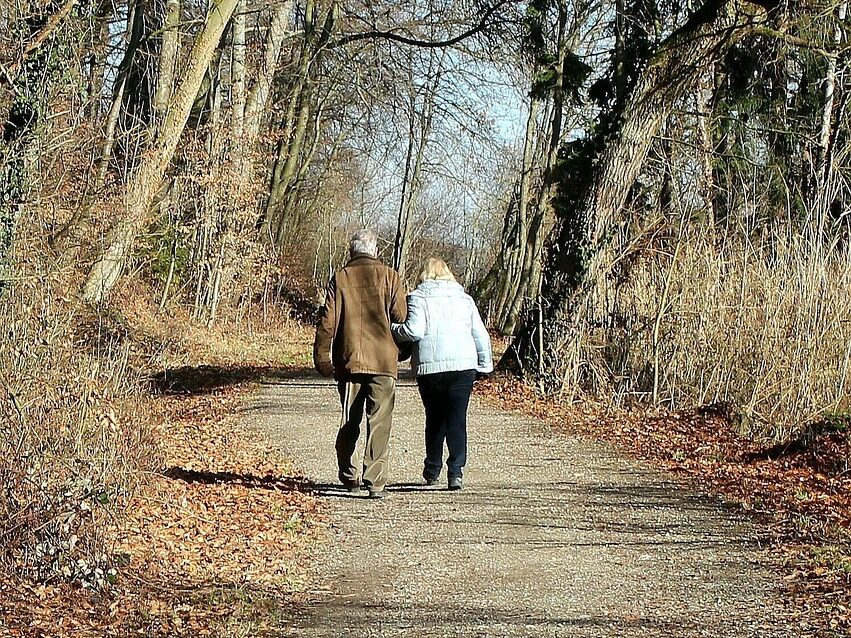 nature, path, walk, harmony, hand in hand, arm-in-arm, people, pair, togetherness, together, as a couple, older, old, relationship, man and woman, silhouettes, lovers, older, older, lovers, lovers, lovers, lovers, lovers