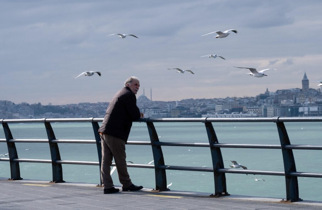 old man, sea, seagulls, man, pier, boardwalk, old man, old man, old man, old man, nature, old man, man, man, man