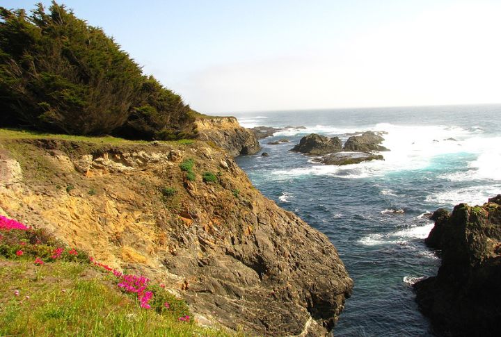 Van Damme State Park