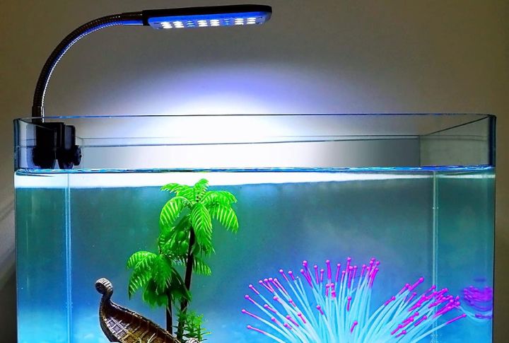 Keep Aquarium Gear On A Safe, Timed Schedule
