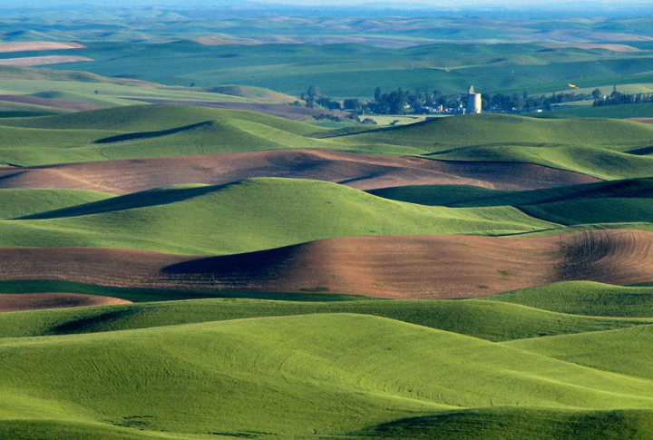 Palouse Hills, Washington