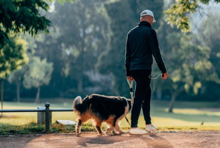 Follow You Around (But Not Obsessively)