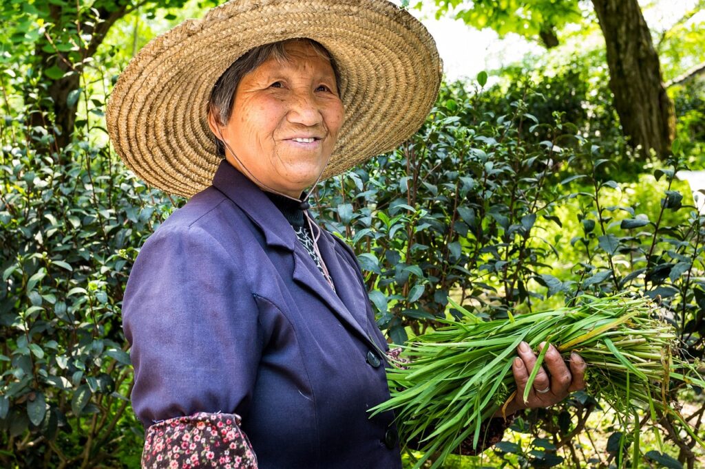 nature, people, a, lid, basket, portrait, summer, adult, older people, senior, plant, farmer, straw hat, laugh, folds, people, older people, older people, older people, older people, older people, farmer