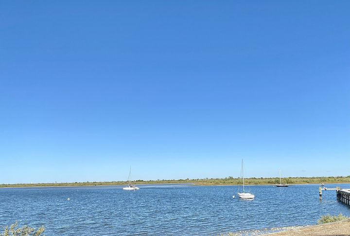 Paddle Through Salt Run With Dolphins Nearby