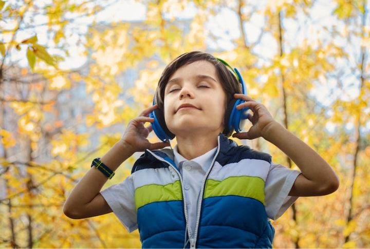 Headphones