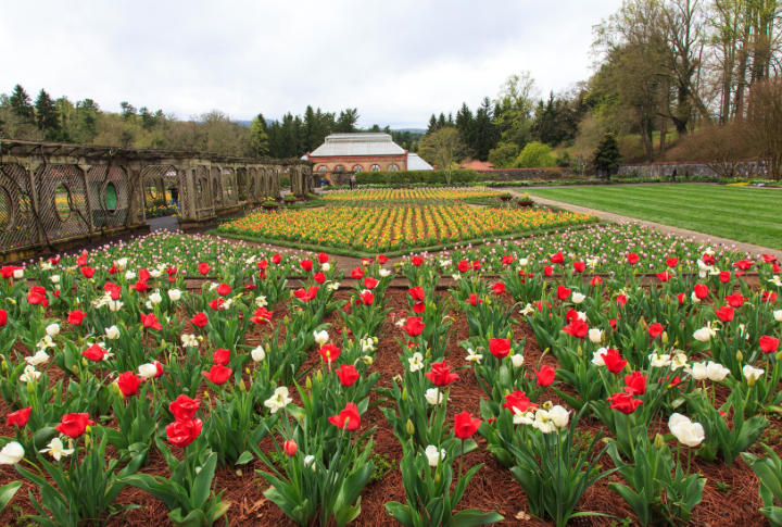 The Estate's Grand Outdoor Canvas