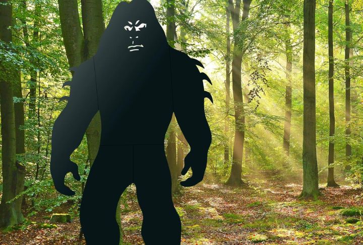 Sasquatch