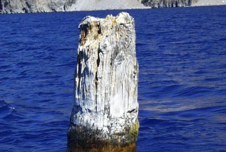 Unique Ecological Features