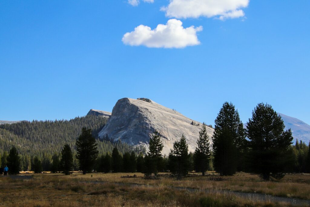 A field with a mountain in the background