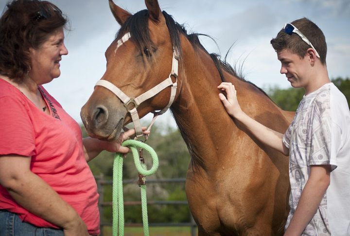 Horse Therapy Programs Are Expanding Statewide